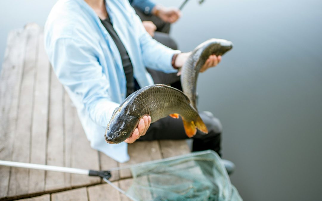 American Aquatic Bounty: A Guide to the Most Common Fish Catch and How to Cook Them